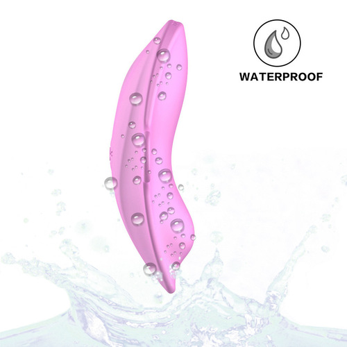 Wireless control USB charging vibrating female masturbation vibrator Flirting invisible wearable monster vibrator foreign trade