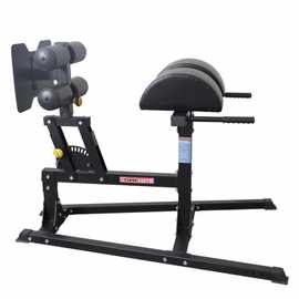 健身器材 力量器械 平罗马椅 腰背训练器 商用产品