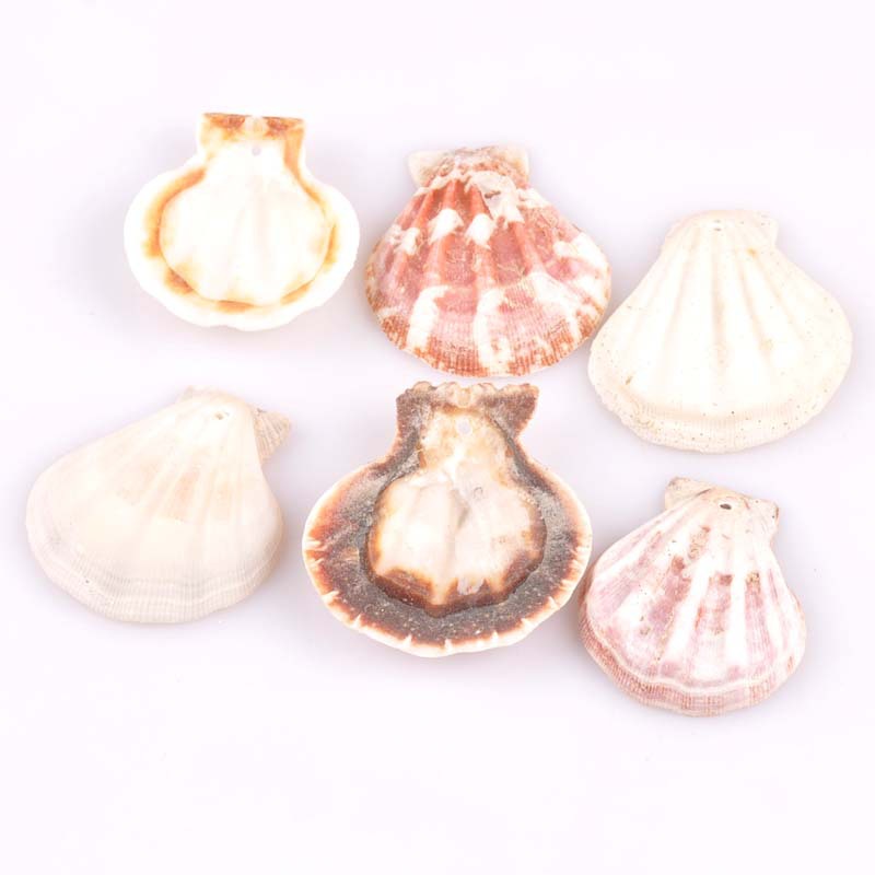 HTB1u8HGfL9TBuNjy1zbq6xpepXam