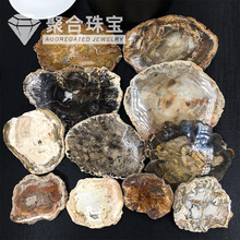 天然木化玉原石切片5-16cm標本石樹化玉茶杯墊家居復古裝飾擺件