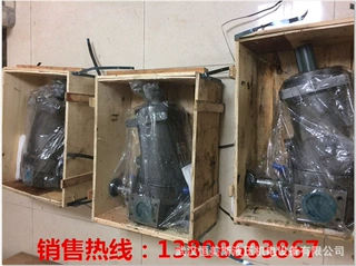 工程液压油缸VD1-20F-C