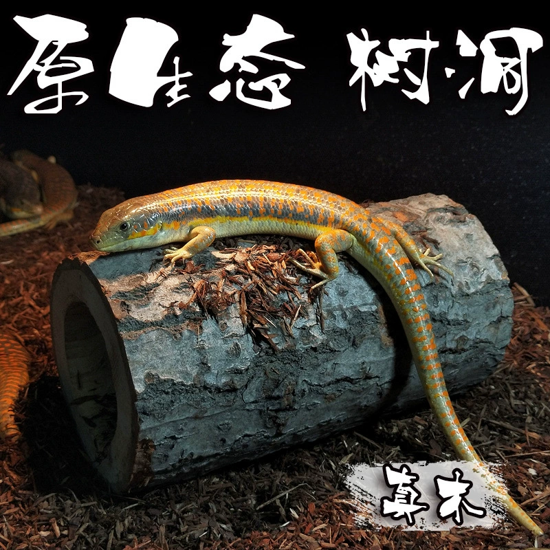 Бревенчатое дерево Отверстие коры Увлажнение Предотвращение Пещера Шоугонг Ящерица Змея Черепаха Деревянный ворс Птица Мышь Гнездо Восхождение Домашнее животное Рептилия Коробка Большая