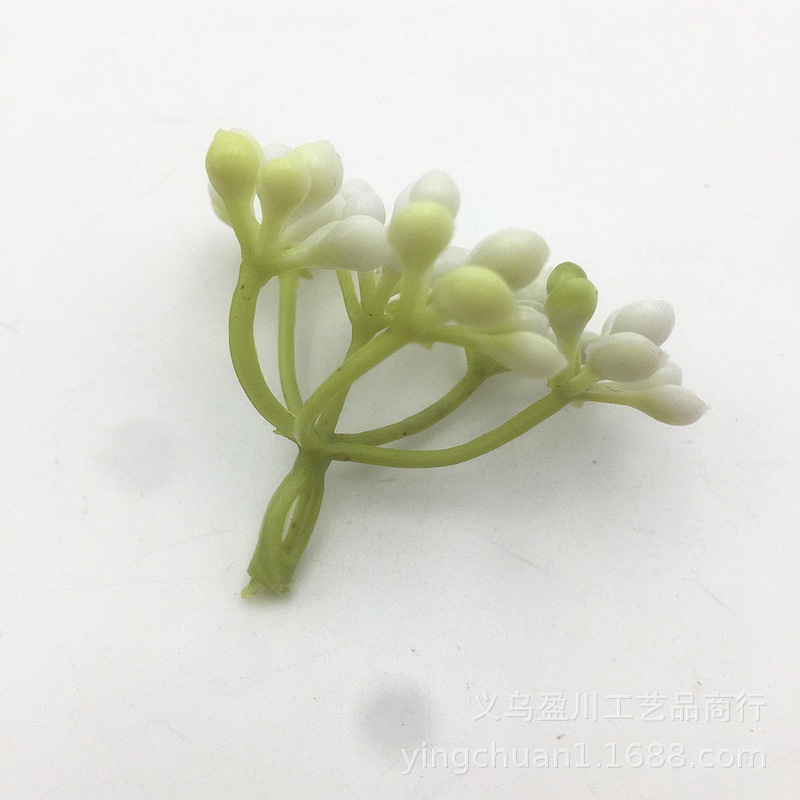 2019-07-20 083838.jpg