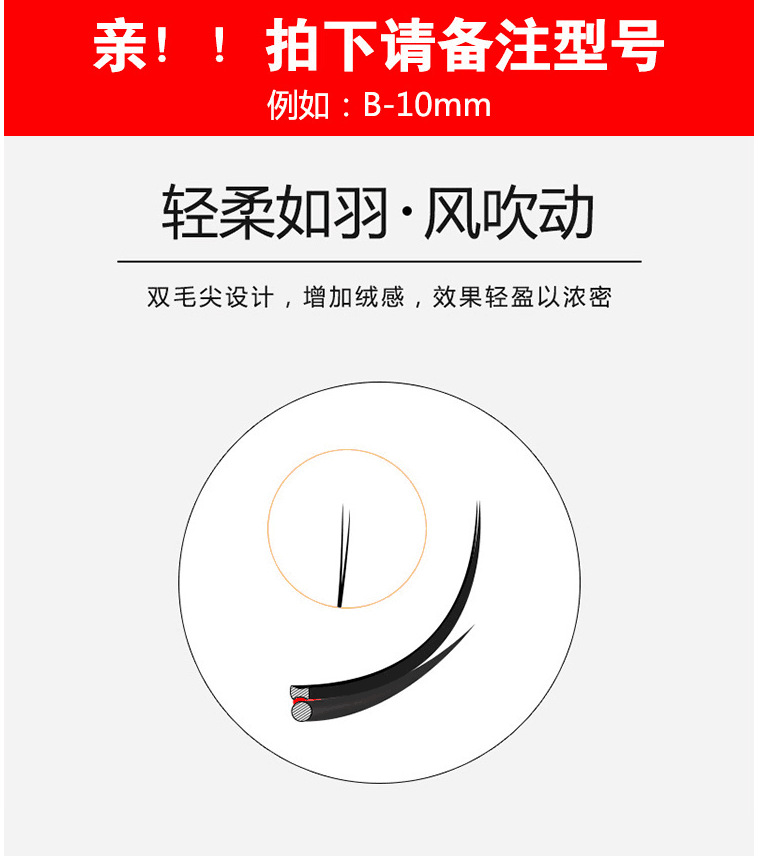 1 - 副本 - 副本 - 副本.png