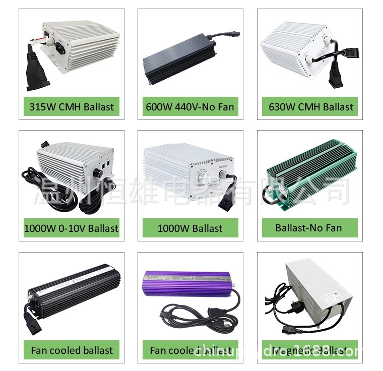 HTB1jQFALMTqK1RjSZPhq6xfOFXaX.