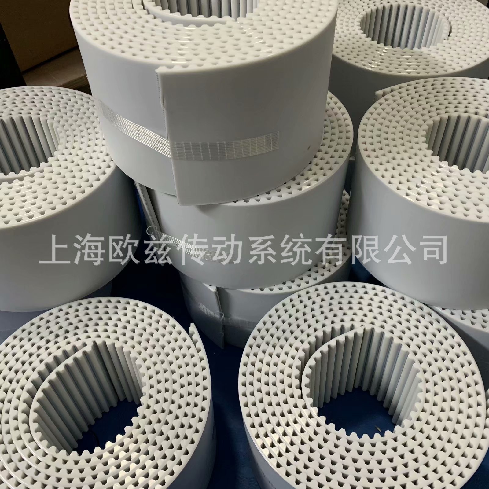 IMG_6016