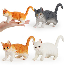 贝壳鱼动物模型玩具 仿真动物模型多款家猫小猫造型玩具模型