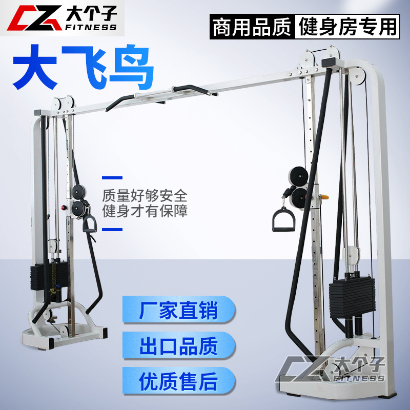 大飞鸟龙门架训练器 引体向上商用健身房大型多功能综合厂家直销