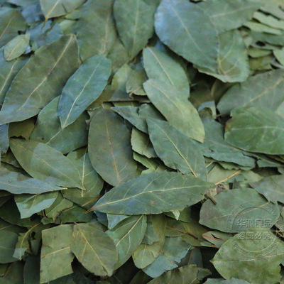 wholesale Pelargonium Condiment Bay leaves Bay leaf Hot pot bottom material brine Take food Preserved material Cong