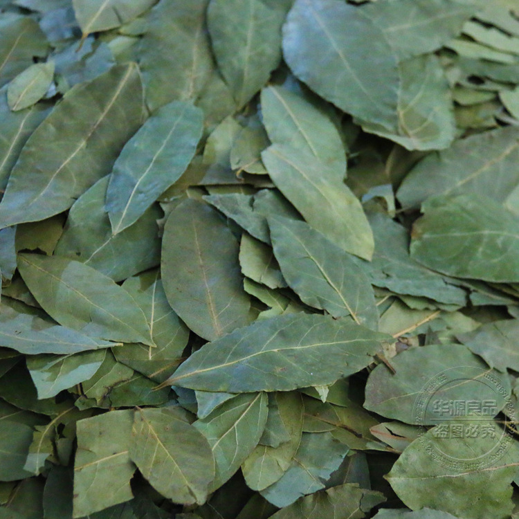 wholesale Pelargonium Condiment Bay leaves Bay leaf Hot pot bottom material brine Take food Preserved material Cong