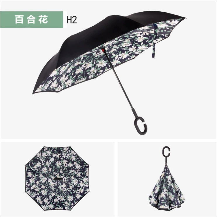 Double-layer umbrella for car, Birthday gift