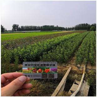 һ������������l ���ּt�� �ʺ��� 2����3���������r��