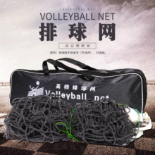 专业排球网便携式标准比赛沙滩排球网加粗气排球网排球架拦网