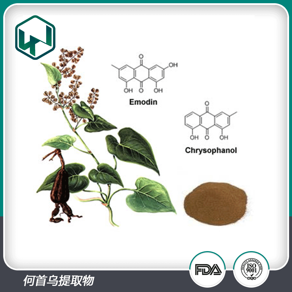 何首乌提取物20%黄酮二苯乙烯苷原料粉包邮量大从优食品级认证