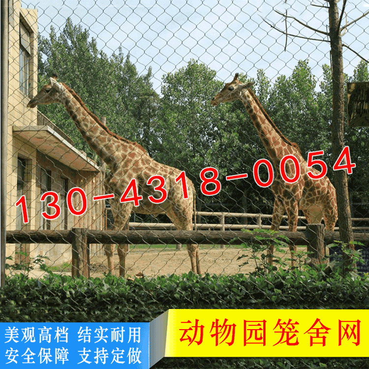 供应 动物园围网 动物园专用围栏网 金丝猴不锈钢编织绳网 批发