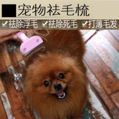 Manufacturer of Eight-Generation Pet Dehairing Comb, Dehairing Comb, Bristle Comb, Curved Comb, Curved Pet Dehairing Comb Blade