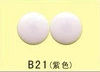 B21 light powder