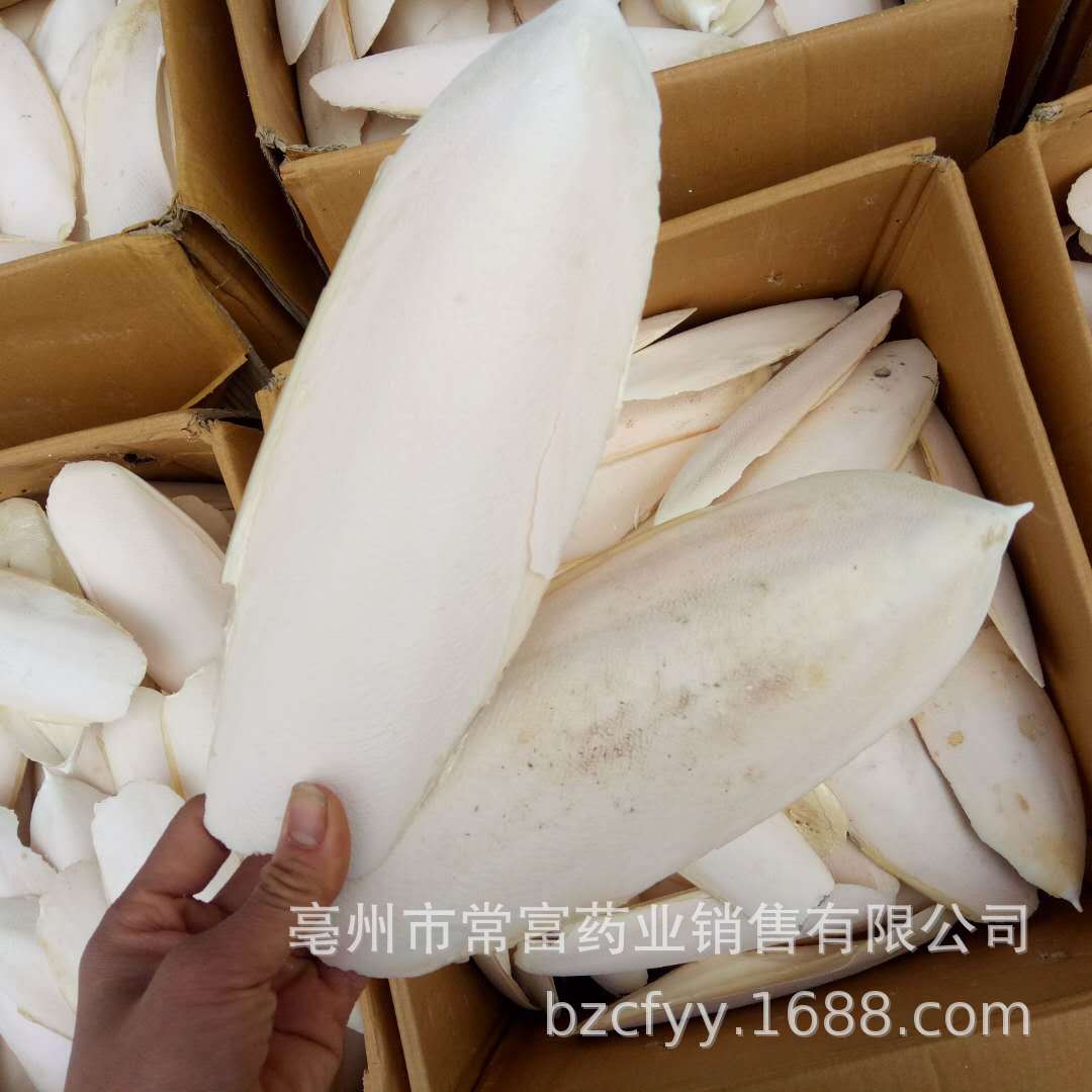 Cuttlebone Hai Piao Xiao 海螵蛸 Dried Cuttlefish Bone 500g Natural Sun Dried Whole Form specifications