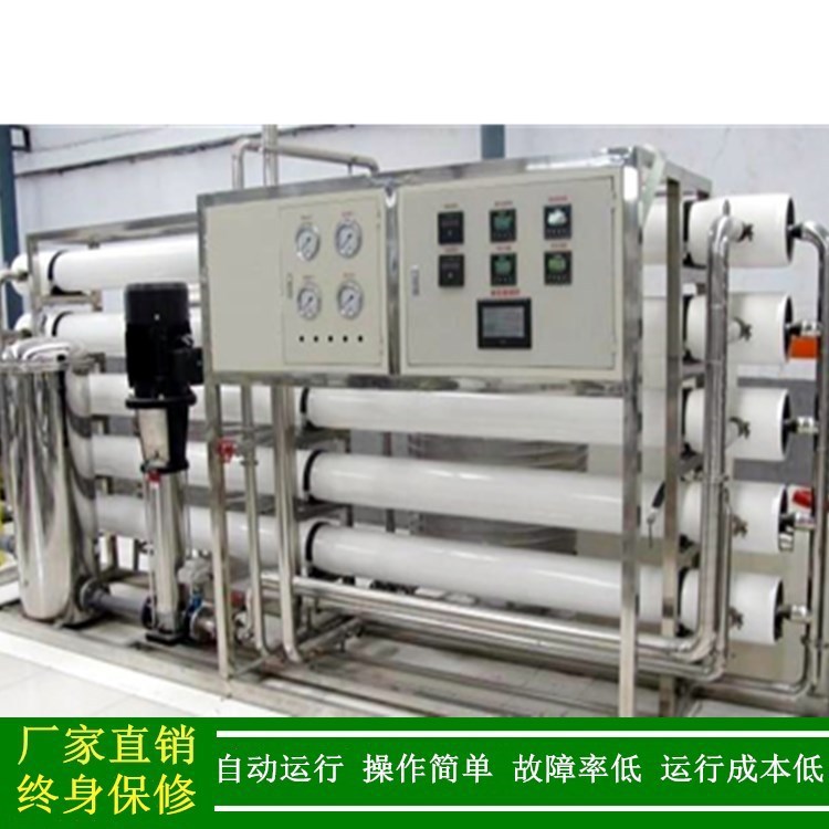 RO纯水设备 啤酒饮料厂用大型纯水处理设备 反渗透纯净水生产设备