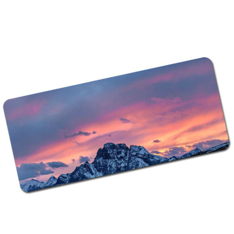 {0D94508E-781A-4D72-B1C2-4B1B9