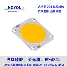 �������� COB��Դ24W����led�NƬ�����о ��܉�����