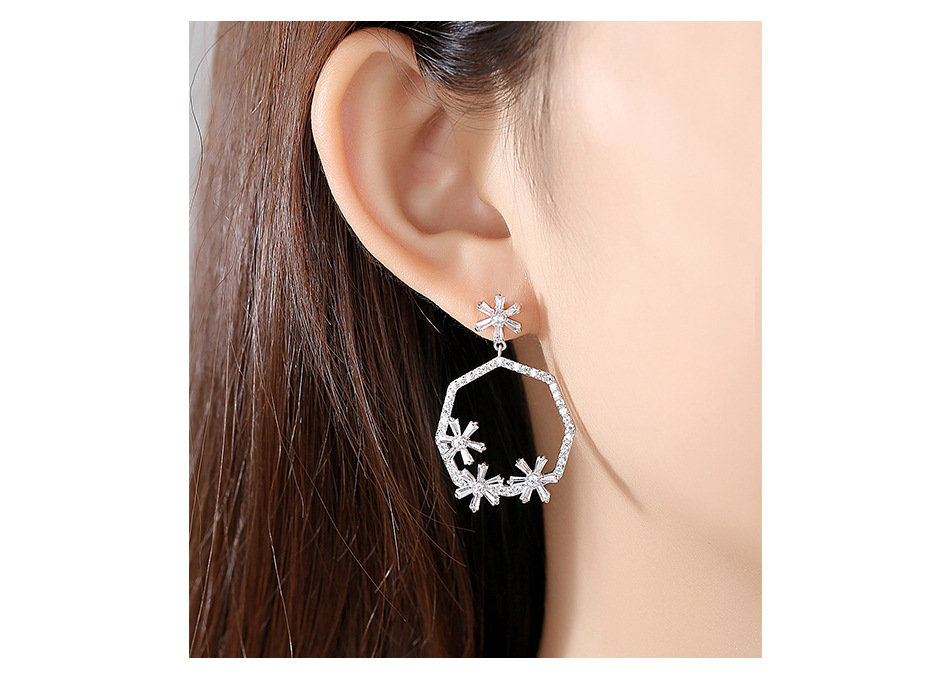 Jinse Vorhang Schnee Ohrringe Mode Koreanische Kreative Einfache Bankett Weibliche Bronze Zirkon Ohrringe Ohrringe Geschenk display picture 3
