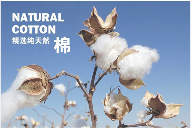 8304ce5c1e740a12f311fa5d2b6435