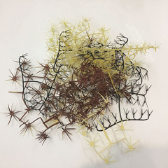 廠家批發 仿真植物仙人掌刺 假塑料仙人球 插刺配件