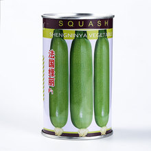 閩蔬農科蔬菜種子 法國綠麗西葫蘆種子100g瓶裝實體經銷現貨批發