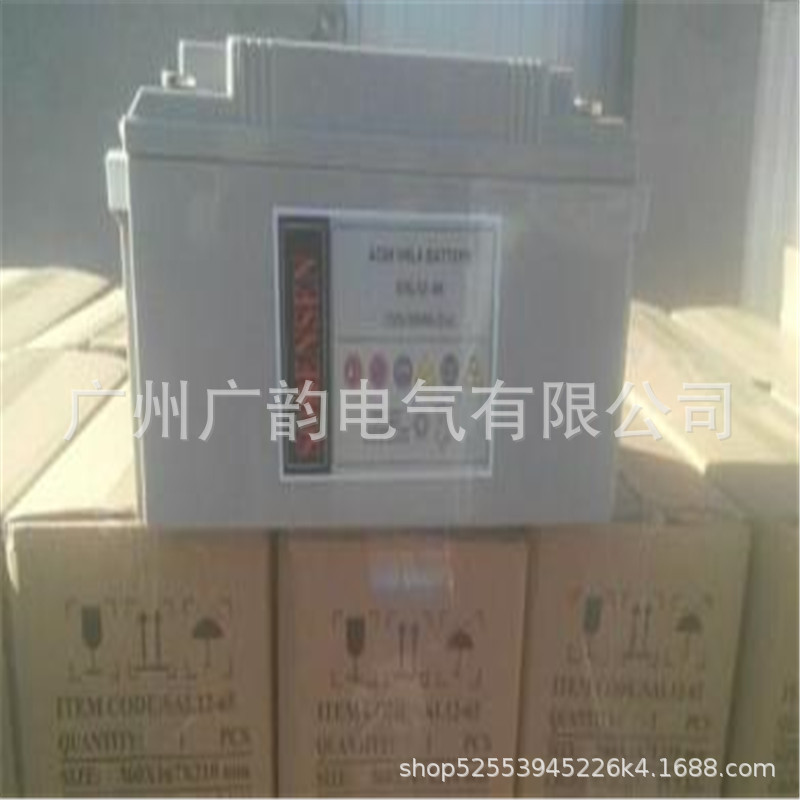 美国索润森蓄电池SAL7-12阀控式蓄电池12v4ah 免费安装