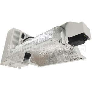 High Frequency 347V 1000w Dimmable Electronic Ballast Double End Complete Plant Growth Lamp System