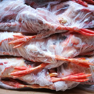 ���Sֱ�l�חl�Z���Z�r��  ����|�����Z �חl�Z���l