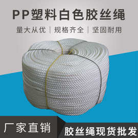厂家供应全新料PP塑料胶丝绳 尼龙扎绳白色胶绳4厘-20厘现货批发