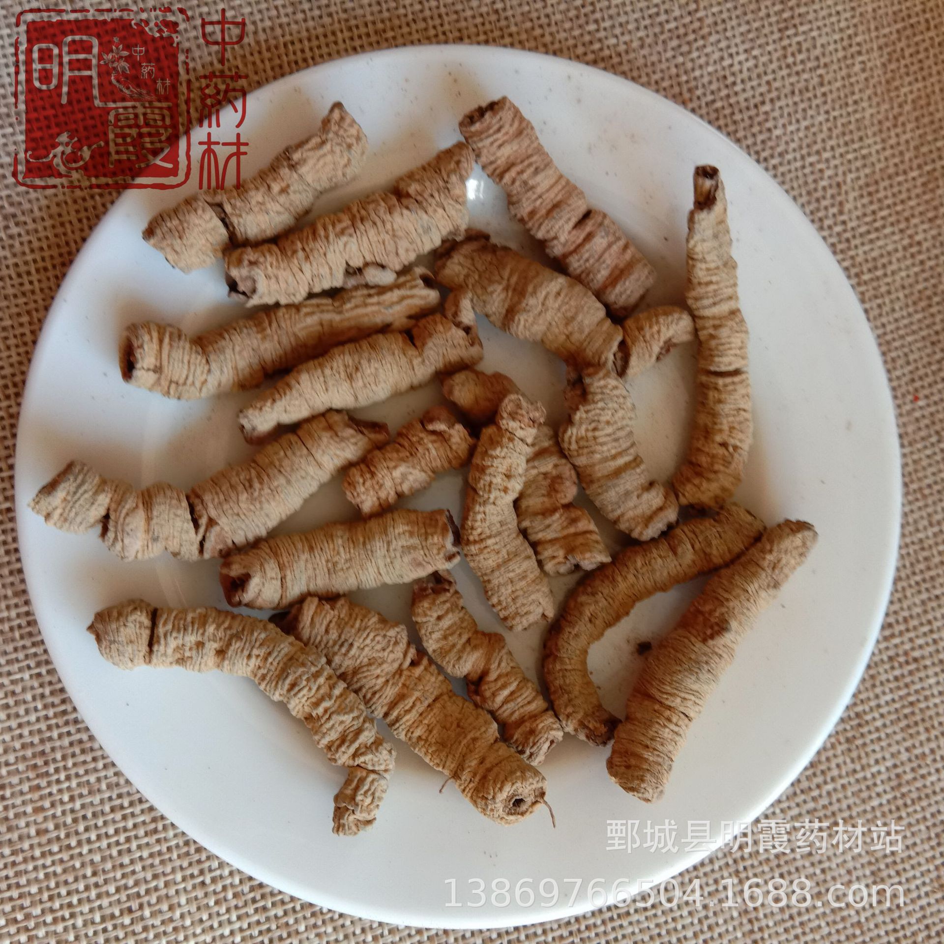 抽芯无硫【巴戟天】1000克批发零售供应中药材