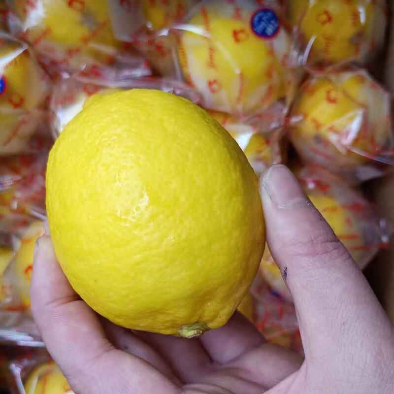 微信图片_201907312244314 - 副本.jpg