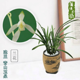 �m�����＾���������m�ļ��m��ɽ��Ȫ�GֲС���Ի����k���Ҳ���