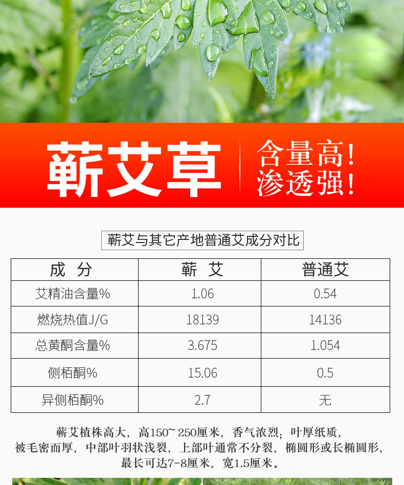 3-Year Aged Moxa Wool Qi Ai Rong Mugwort Floss for Moxibustion Sticks and Cones 500g Bag key features