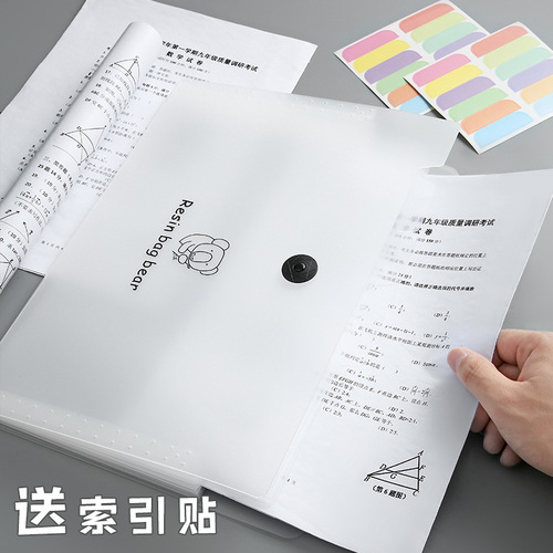 Customized office rainbow accordion bag pp transparent a4 folder student test paper file storage accordion bag wholesale