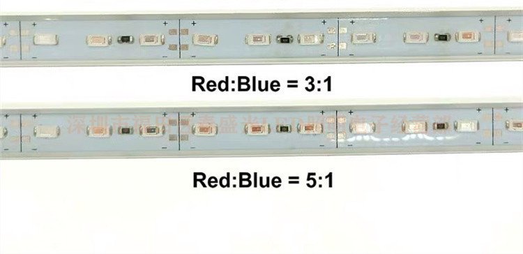 LED-Wachstumslicht, 12 V, Vollspektrum-LED-Lampe für Pflanzen, Rot-Blau-Licht, Verhältnis 3:1 5:1, LED-Phyto-Lampe für Wachstumszelt, Samen-/Blumen-Set_voghion.com