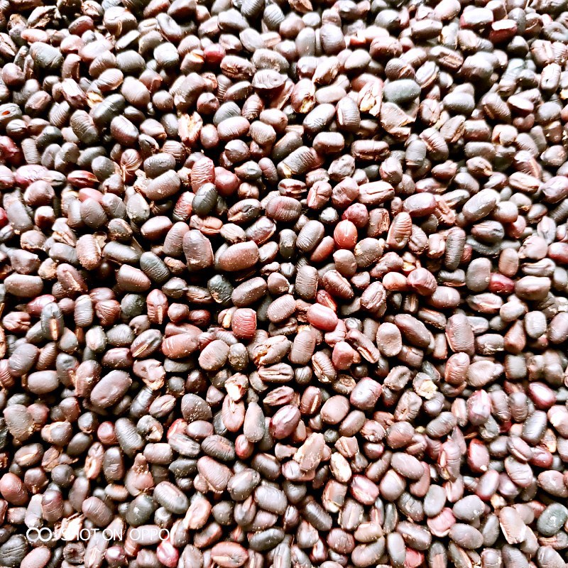 蒸制红豆 蒸制五谷杂粮 熟五谷杂粮磨粉原料 熟红豆 可代磨粉