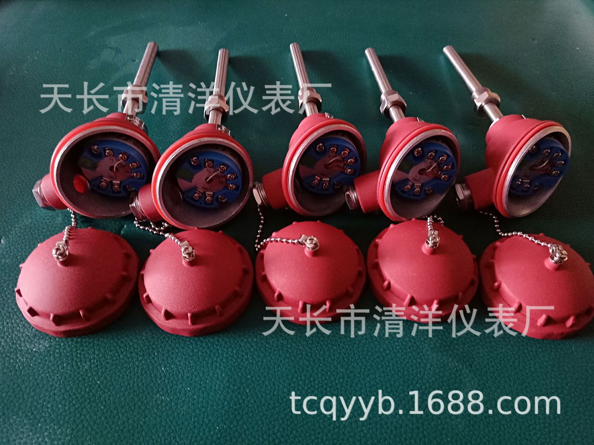 电厂化工厂水泥厂配套设备用一体化温度变送器WZPB-231WZPB-230