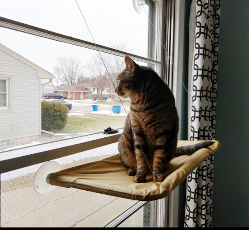TV 产品suny seat宠物猫咪吸盘吊床 宠物窝 猫床 猫吊床 厂家直销