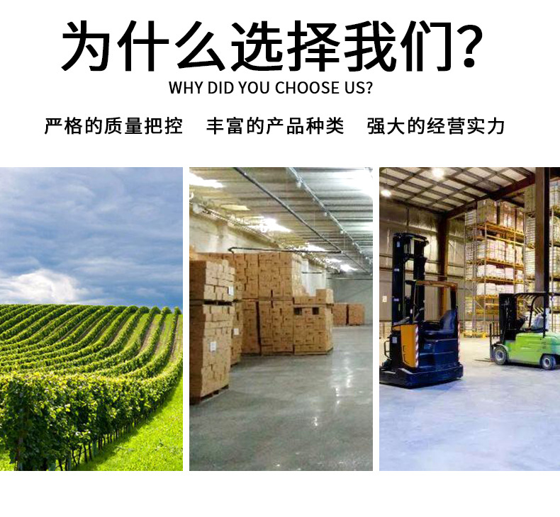 06黄绿葡萄干_12