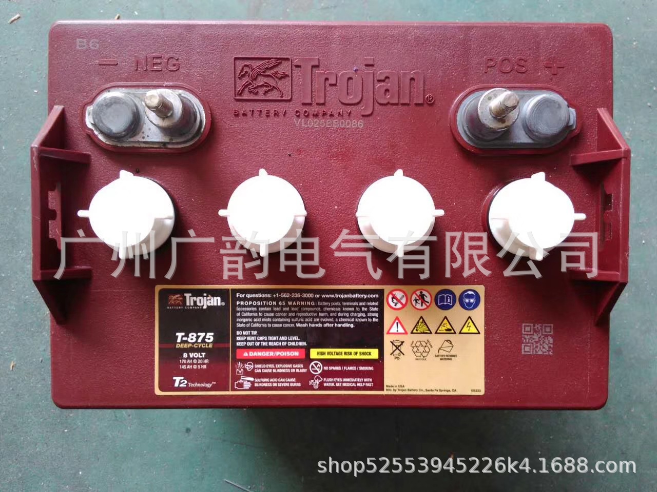 Troian美国邱健蓄电池T-105 牵引动力电池 进口邱健6v225ah价格