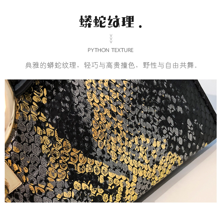 Fashion Snake Pattern Chain Clutch Wholesale display picture 25