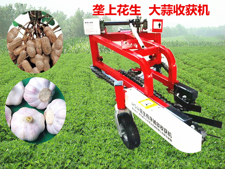 批发小型花生收获机 链条式花生挖果机刨果机收获干净 摆放整齐