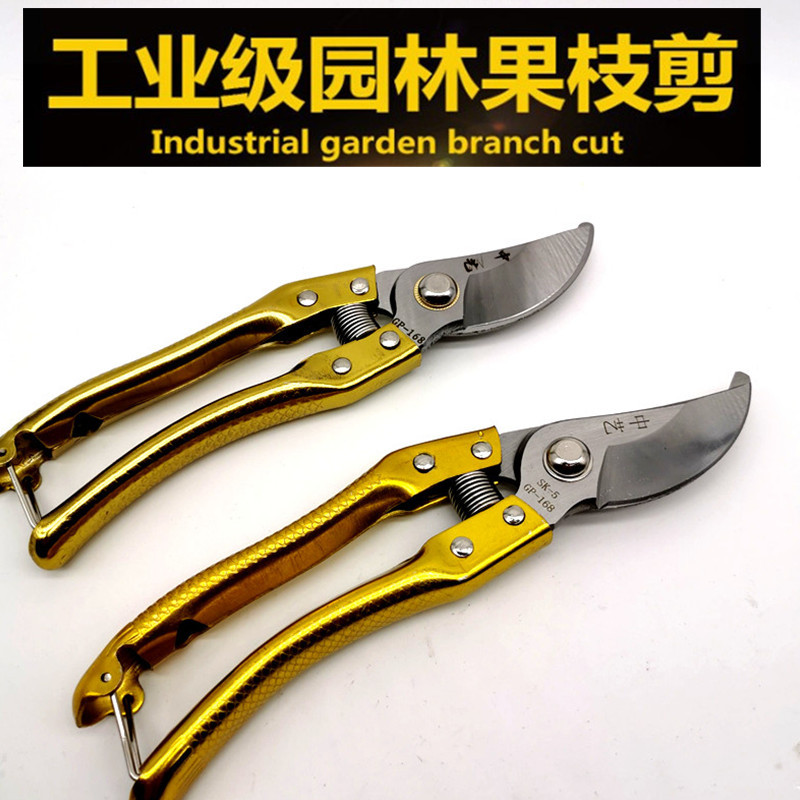 168金色枝剪园林庭木剪定铗果树修枝剪园艺花枝剪刀批发 阿里巴巴