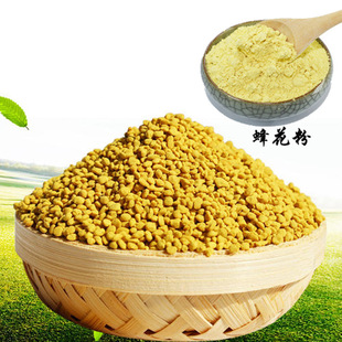 [֥�c�� �仨�� �Ʊ��Ͳ˻��� �Ͳ˻��� �r���