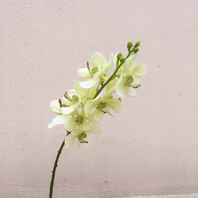 兰瑾仿真万代兰仿真花厂家直销批发装饰插花兰花仿真红色千代兰-阿里巴巴