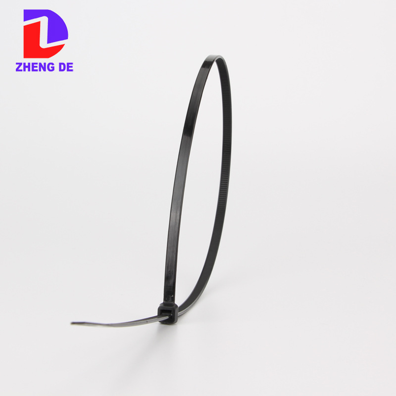 批发尼龙扎带5*500/4.6 自锁式捆绑扎带 塑料扎条